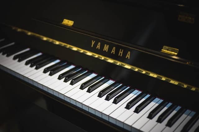 Branded Musical Instrument - Piano